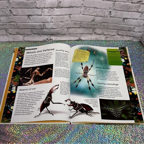 Wonders of Learning: Discover BUGS Hardcover Book - Picture 8 of 10